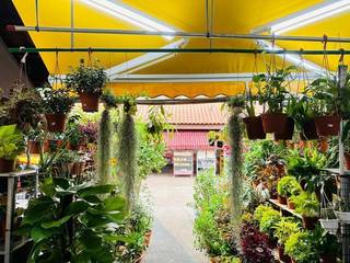 Established retail & landscaping company with 600+ varieties of plants.