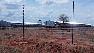For Sale: 4-year old poultry farm in Malawi that lays over 80,000 eggs per day.
