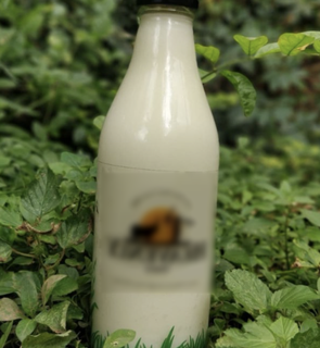 Bengaluru based startup offers farm-fresh milk to urban colonies in sterilized glass bottles seeks investment.