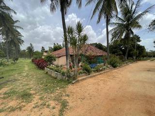 For Sale - 70 acre land located in Malur near Bangalore.