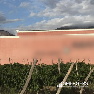 Boutique winery and vineyards for sale in north of Argentina with 20 hectares of land.
