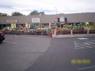 Business running a retail garden store & gift center, also provides landscape maintenance services to 40+ clients.