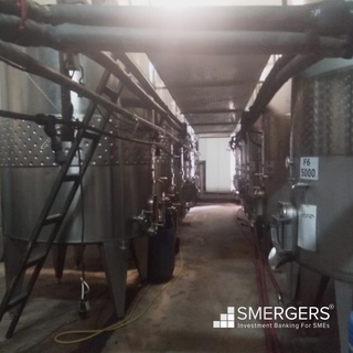 For sale: 650T Winery with 135 acres vineyard for sale in Varna, Bulgaria.