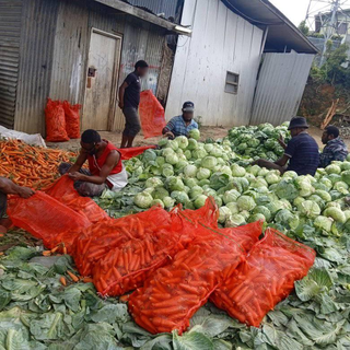 Invest in established fresh fruit and vegetable supplier in Mt Hagen with strong customer base.