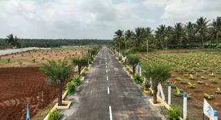 Real-estate-company selling 68 plots in Coimbatore-Pollachi highway with a total area of 94,724 sq ft.