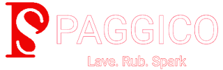 Paggico.Com (Paggico Technologies Private Limited), Established in 2018, 17 Franchisees, Delhi Headquartered