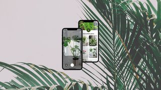 For Sale: AI-powered plant identifier app, empowering plant lovers with cutting-edge tools for plant care.