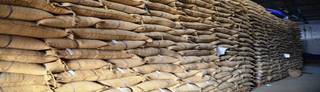 Agricultural Commodity Warehousing, Manufacturing & Trading - Wheat, Fenugreek, Oils Seeds, Rice, Maize.