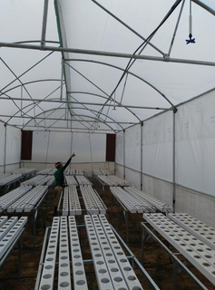 Hydroponics unit with hotels, resorts and retail clients for sale in Jharkhand.