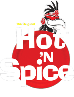 Hot 'N Spice, Established in 2006, 2 Franchisees, New Delhi Headquartered