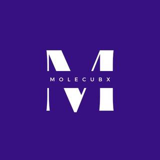 Molecubx (BI Managment Consulting), Established in 2010, 5 Franchisees, Singapore Headquartered