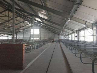 For Sale: A non-operational dairy farm business based in Chudovo, Russia.
