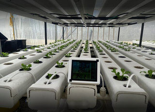 7-year-old Ranchi-based hydroponic farming company dealing in farm setup and support services seeks equity investor.