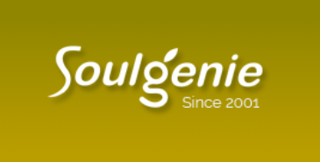 Soulgenie, Established in 2000, 10 Sales Partners, Noida Headquartered