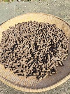 Experienced promoters offering solutions for biomass energy consumption by producing palm kernel shell pellets.