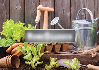 Pesticide company providing holistic organic solutions for home & garden for modern gardeners.