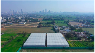 Modern hydroponic farm that can produce 60-70 vegetables for sale in Gurgaon.