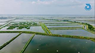 Shrimp farming and export company in Ecuador producing 1.3m pounds of shrimp monthly seeks Investors.