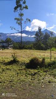 41 cents land with beautiful mountain view suitable for resort in popular tourist destination Munnar.