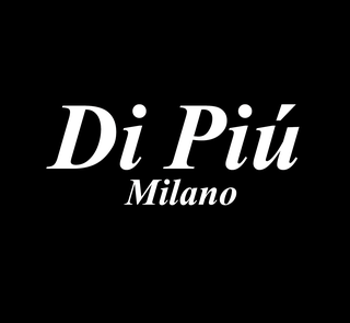 Di Piú Milano, Established in 2006, 50 Franchisees, Madrid Headquartered