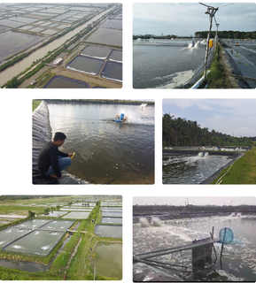 Shrimp and freshwater fish culture business, seeking investment for expansion and shrimp hatcheries.