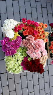 For sale: Business that imports flowers from Colombia & Ecuador and supplies to 25 clients.