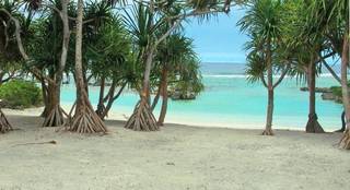 For Sale: Bespoke development spread over 111 acres in the Republic of Vanuatu.