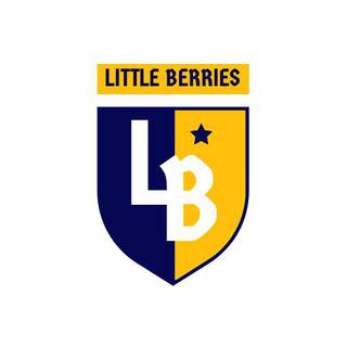 The Little Berries, Established in 2018, 1 Franchisee, Bangalore Headquartered