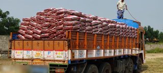 Wholesale paddy and rice trading business with collateral of INR 2 crore seeks a loan.
