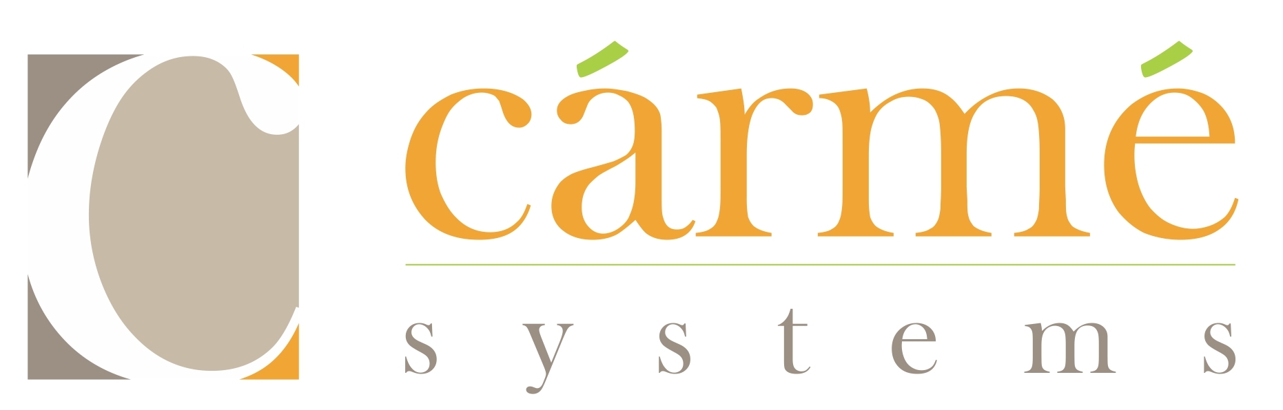 Carme Systems (Carme Systems Private Limited) logo