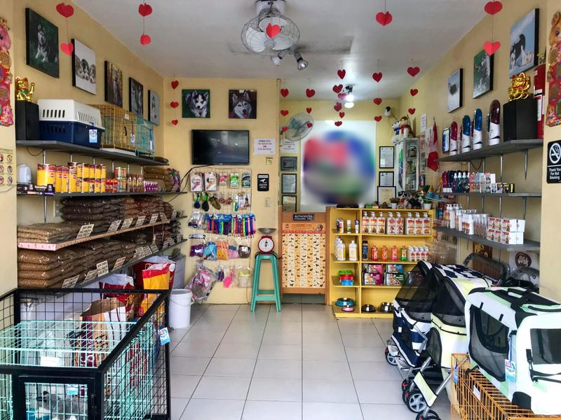 Newly Established Pet Shop Investment Opportunity in San Pedro