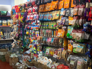 Pet Shop Investment Opportunity in Dubai United Arab Emirates