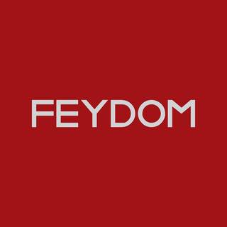 Feydom, Established in 2022, 16 Franchisees, Sofia Headquartered