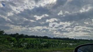 Upcoming 2,500-plot land development project with seasoned promoter, sales to start next year.