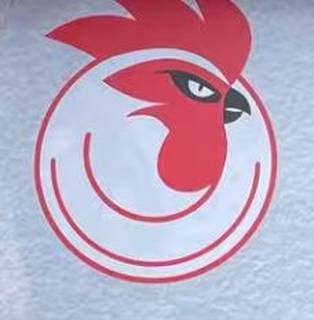 Fakth Chicken (GourmetGalaxy Brands Private Limit), Established in 2020, 1 Franchisee, Mumbai Headquartered