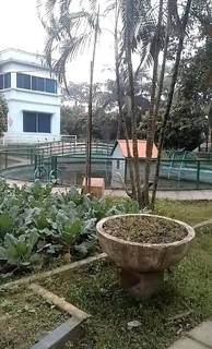 Scenic property for sale in Singair, Manikganj, ideal for guest house/resort operations.