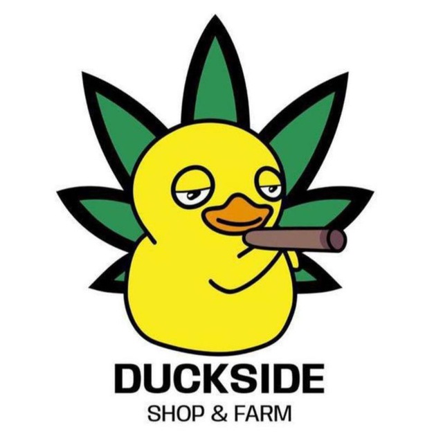 Duckside Store CO, LTD logo